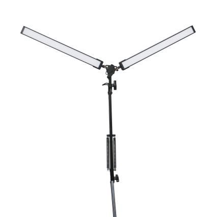 LED Lampa stołowa z klipsem 2xLED/10W/230V 2800-6800K