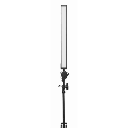 LED Lampa stołowa z klipsem LED/10W/230V 2800-6800K
