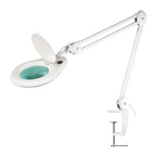 LED Lampa stołowa z lup LED/9W/230V biała