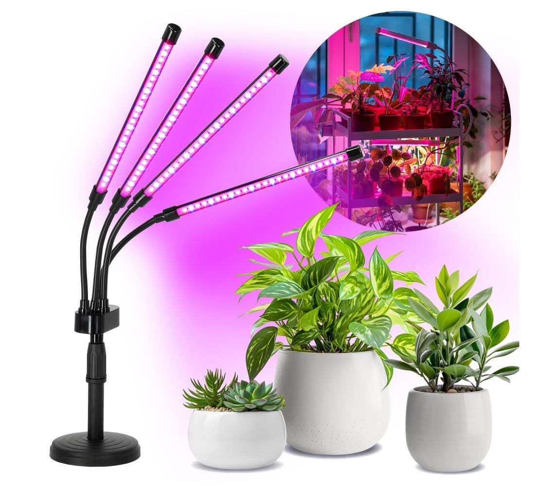 LED Lampa stołowa ściemnialna do uprawy roślin VITARO 4xLED/10W/230V czarny