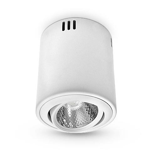 LED Lampa sufitowa 1xLED/12W/230V