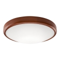 LED Lampa sufitowa 1xLED/24W/230V
