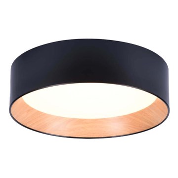 LED Lampa sufitowa ARENA LED/43W/230V