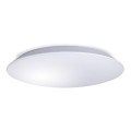 LED Lampa sufitowa do łazienki AVESTA LED/18W/230V 4000K IP54