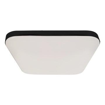 LED Lampa sufitowa do łazienki z czujnikiem NEMO LED/16W/230V IP44 czarna