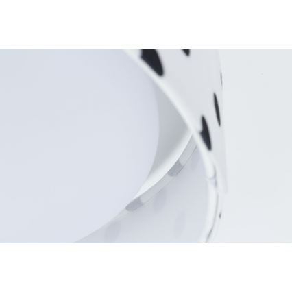 LED Dziecięca lampa sufitowa GALAXY KIDS LED/24W/230V w kropki biała/czarna