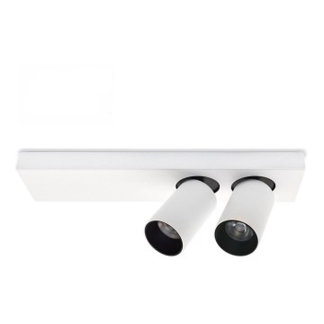 LED Lampa sufitowa punktowa BERGEN 2xLED/11W/230V