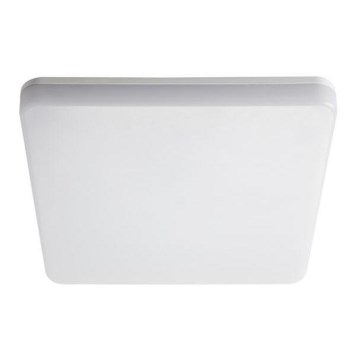 LED Lampa techniczna LED/18W/230V IP54 3000K
