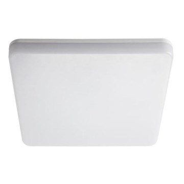 LED Lampa techniczna LED/24W/230V IP54 3000K