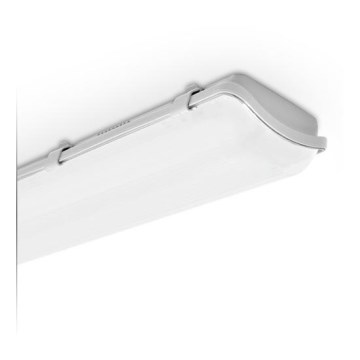 LED Lampa techniczna LED/40W/230V IP65