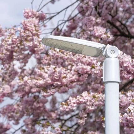 LED Lampa uliczna SOLIS LED/50W/230V 4000K IP65