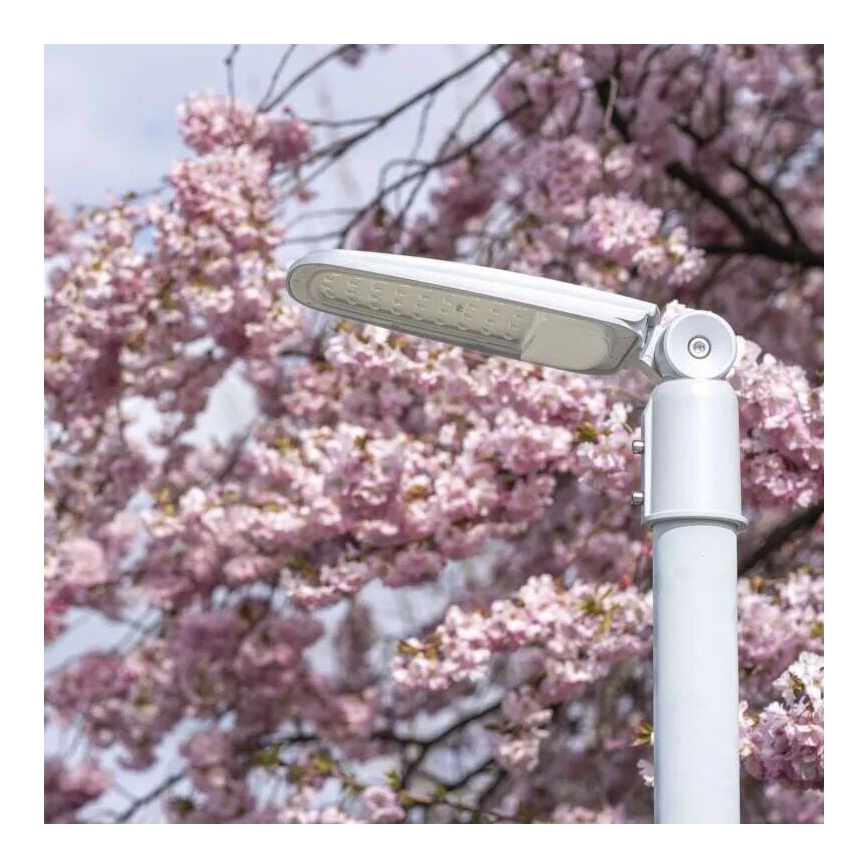 LED Lampa uliczna SOLIS LED/50W/230V 4000K IP65