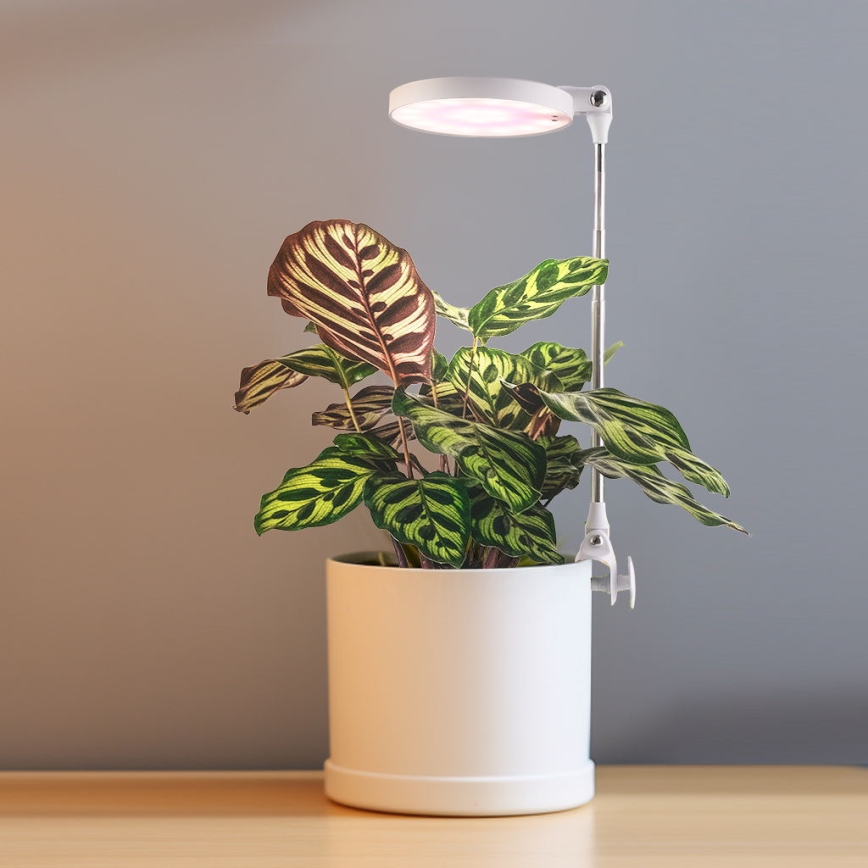 LED Lampa wewnętrzna do uprawy roślin LED/10W/5V 3200K