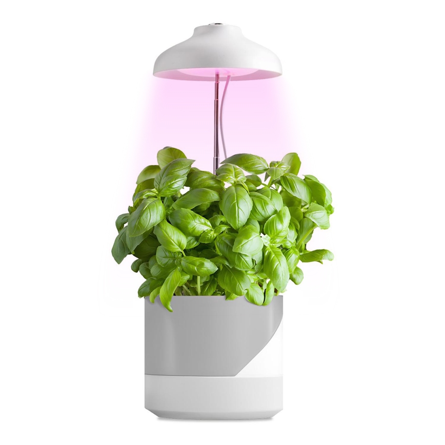 LED Lampa wewnętrzna do uprawy roślin LED/5W/5V 3200K
