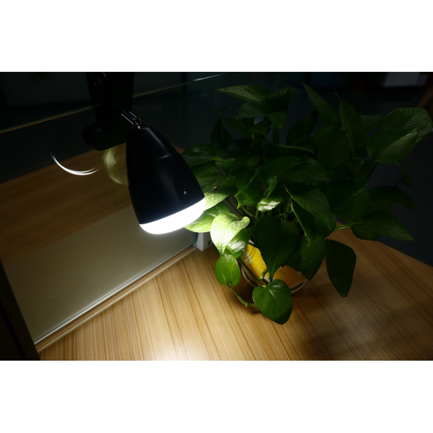 LED Lampa z klipsem CLIP LED/5W/5V 4000K