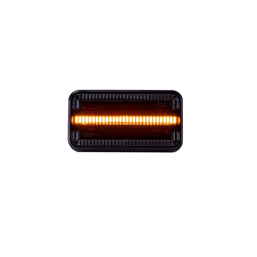 LED Lampa zespolona LED/12-24V IP65