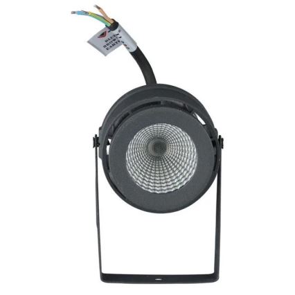 LED Lampa zewnętrzna LED/12W/230V 4000K antracyt IP65