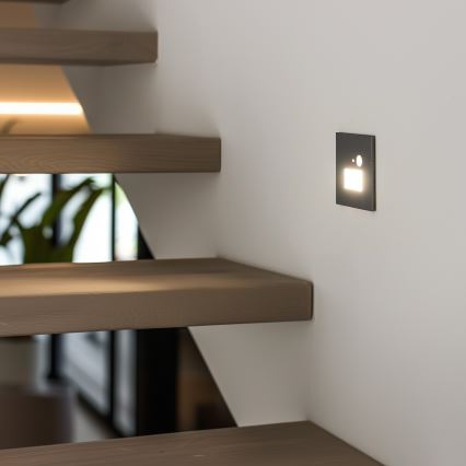 LED lampka schodowa z czujnikiem ruchu LED/1,5W/230V 3000K/4000K/6500K
