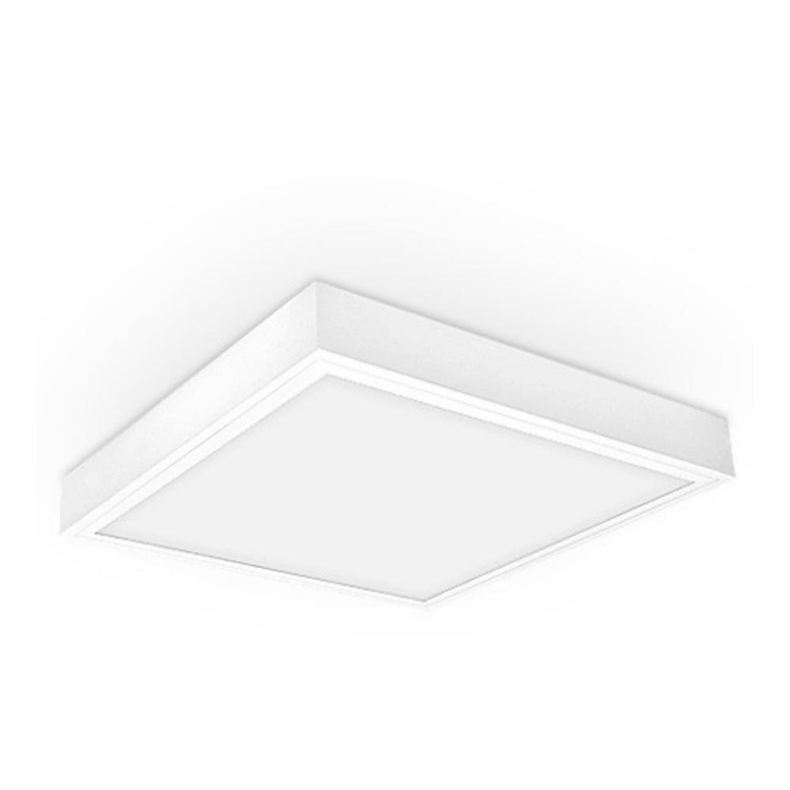 LED Łazienkowy panel natynkowy OREGA N LINX 60 LED/40W/230V IP44 4000K