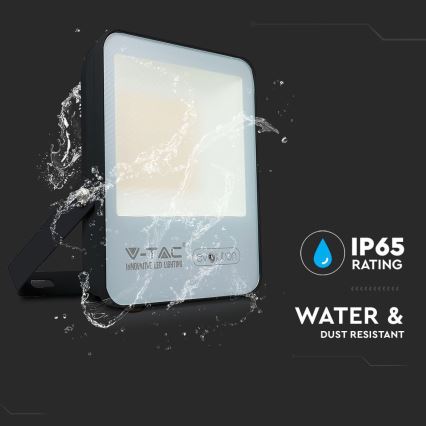 LED Naświetlacz LED/30W/230V 6400K IP65 czarny