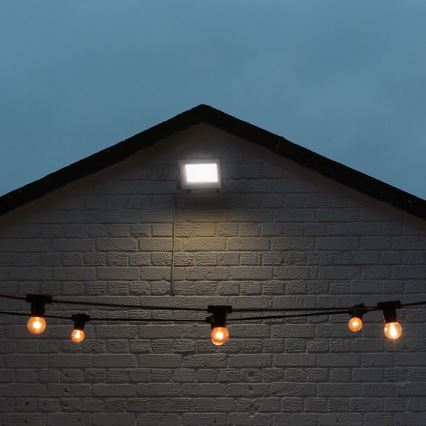 LED Naświetlacz LED/50W/230V IP65 3000/4000/6500K szary