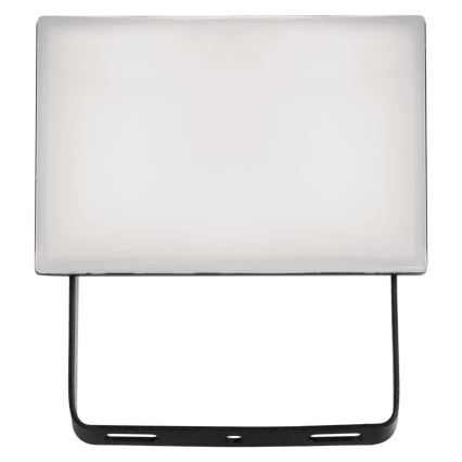LED Naświetlacz TAMBO LED/10W/230V 4000K IP65