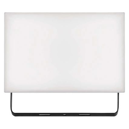 LED Naświetlacz TAMBO LED/30W/230V 4000K IP65