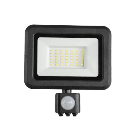 LED Naświetlacz z czujnikiem LED/30W/230V 4000K IP44