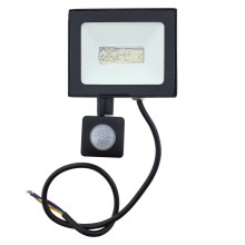 LED Naświetlacz z czujnikiem LED/50W/230V IP44