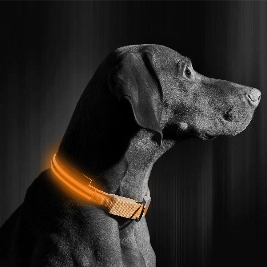 LED Obroża akumulatorowa 40-48 cm 1xCR2032/5V/40 mAh pomarańczowa
