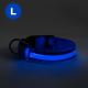 LED Obroża na baterie dla psa 45-52 cm 1xCR2032/5V/40 mAh niebieska