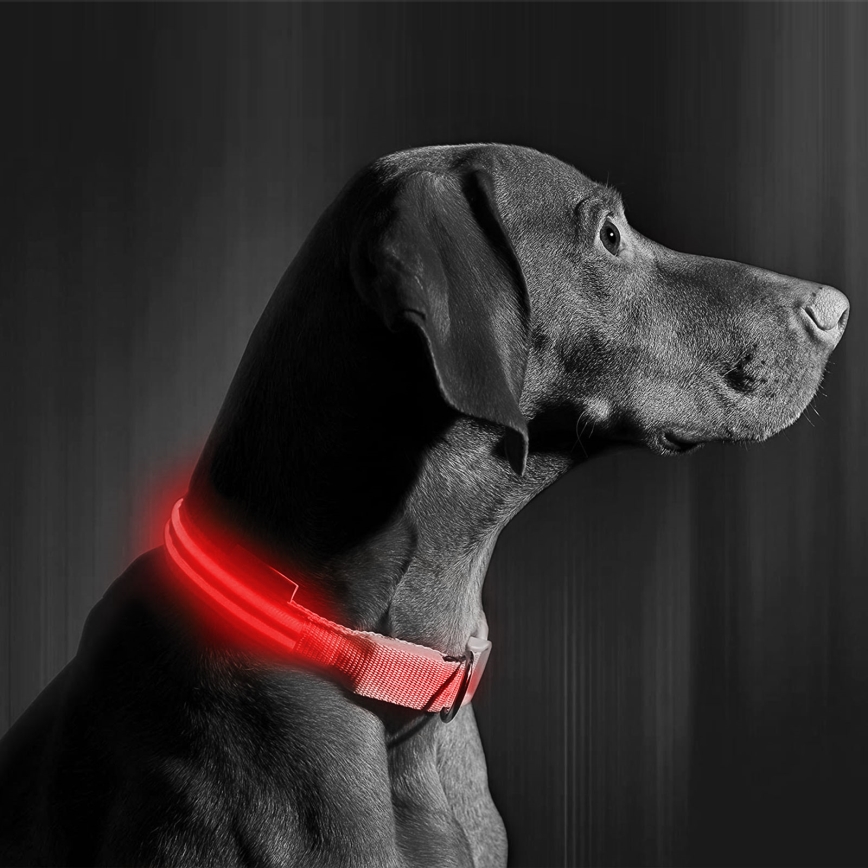 LED Obroża na baterie dla psar 35-43 cm 1xCR2032/5V/40 mAh czerwona