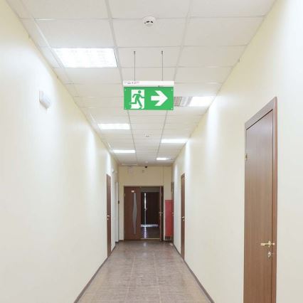 LED Oprawa awaryjna EMERGENCY EXIT LED/2,5W/230V 4w1 6000K