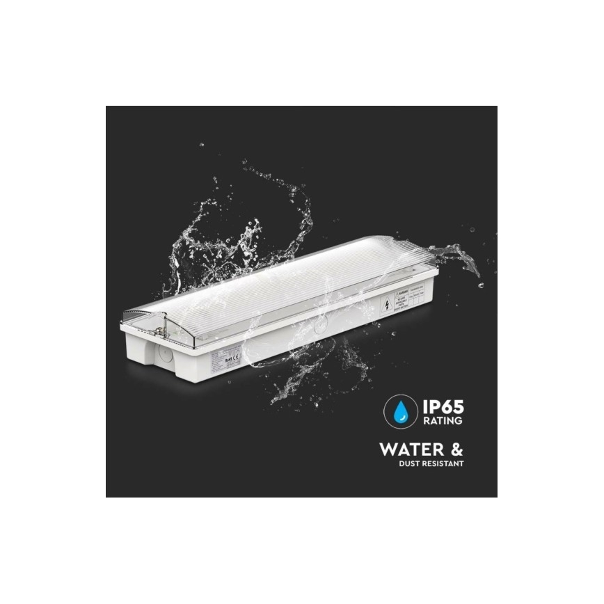 LED Oprawa awaryjna EMERGENCY EXIT LED/3W/230V 6400K IP65