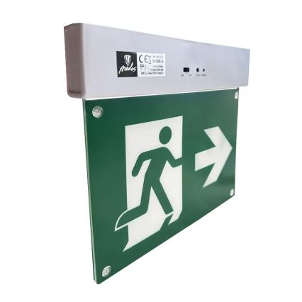 LED Oprawa awaryjna LED/2W/230V 6000K 300 mAh
