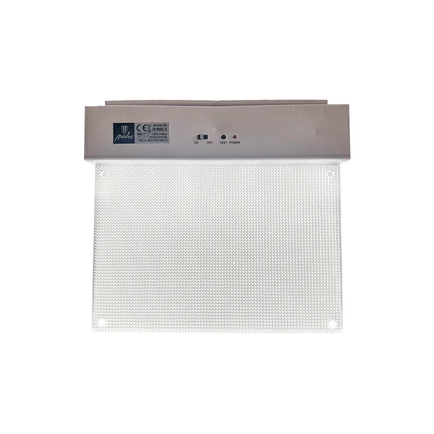 LED Oprawa awaryjna LED/2W/230V 6000K 300 mAh
