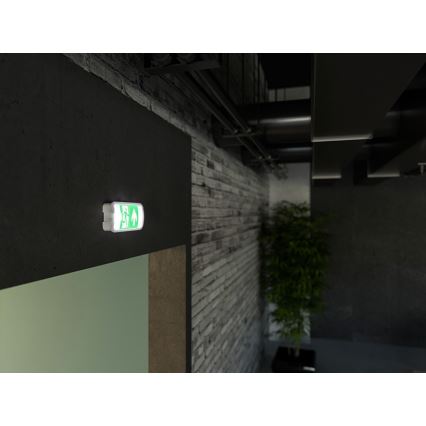 LED Oprawa awaryjna VIRGO EVO LED/1W/230V 6000K IP65