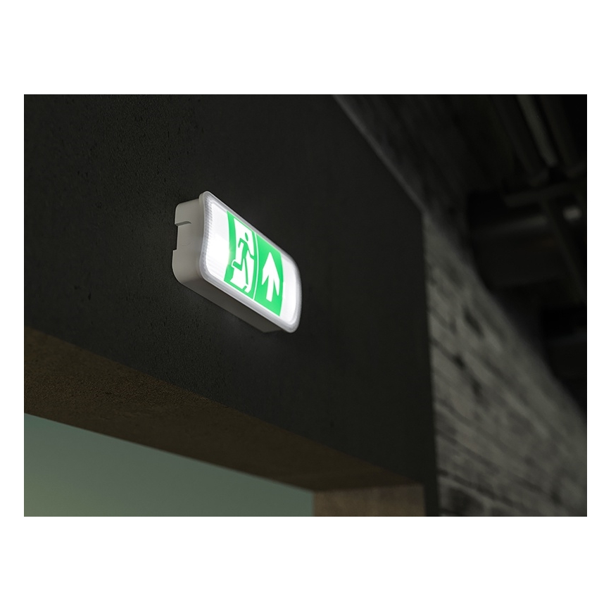 LED Oprawa awaryjna VIRGO EVO LED/1W/230V 6000K IP65