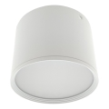 LED Oprawa punktowa LED/10W/230V 3000/4000/6400K śr. 12 cm biała