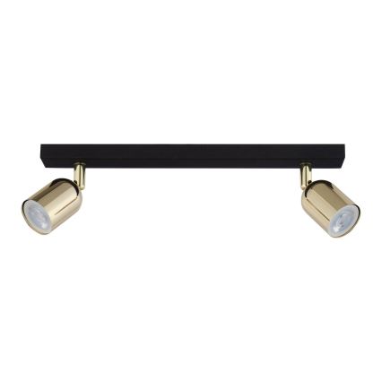 LED oprawa punktowa TOP 2xGU10/10W/230V czarna/złota