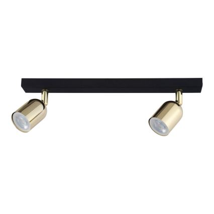 LED oprawa punktowa TOP 2xGU10/10W/230V czarna/złota