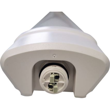 LED Oprawa świetlówkowa DAISY LED/30W/230V 4000K IP65