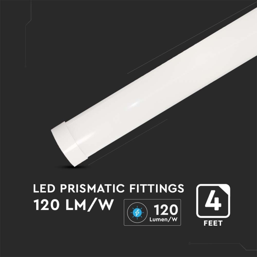 LED Oprawa świetlówkowa SAMSUNG CHIP LED/40W/230V 6500K 120 cm
