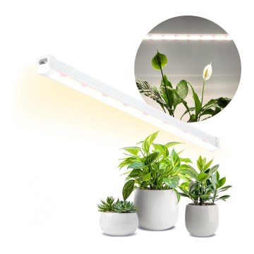 LED Oświetlenie blatu kuchennego do uprawy roślin GROWLY LED/15W/230W
