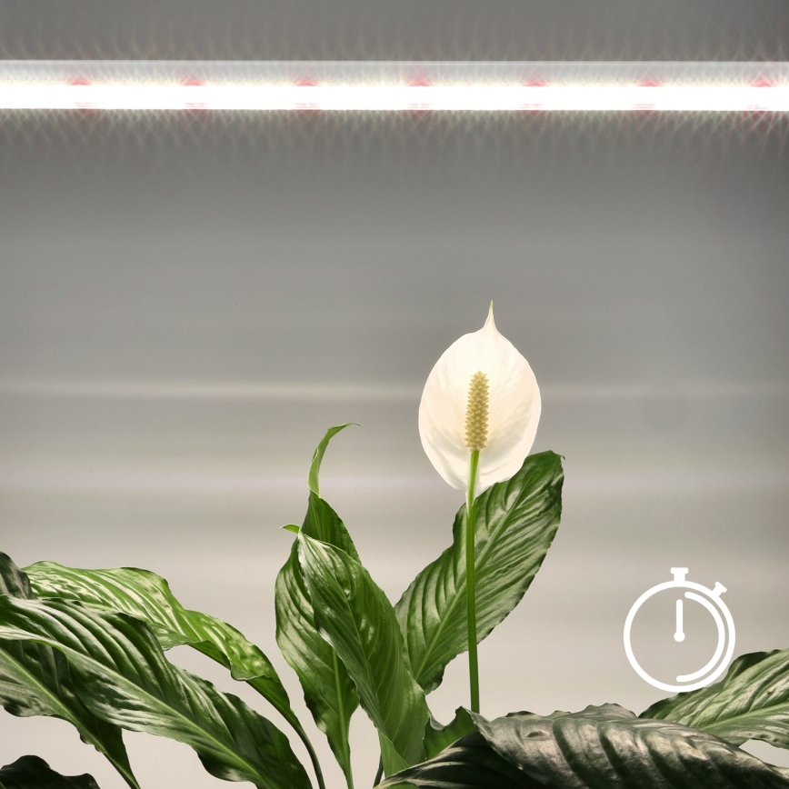 LED Oświetlenie blatu kuchennego do uprawy roślin GROWLY LED/15W/230W