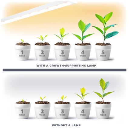 LED Oświetlenie blatu kuchennego do uprawy roślin GROWLY LED/15W/230W