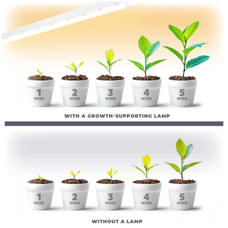 LED Oświetlenie blatu kuchennego do uprawy roślin GROWLY LED/15W/230W