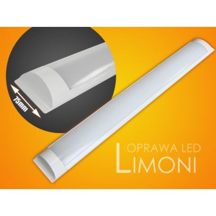 LED Oświetlenie blatu kuchennego LIMONI LED/40W/230V 3000K 120 cm
