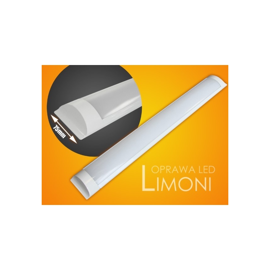 LED Oświetlenie blatu kuchennego LIMONI LED/40W/230V 3000K 120 cm