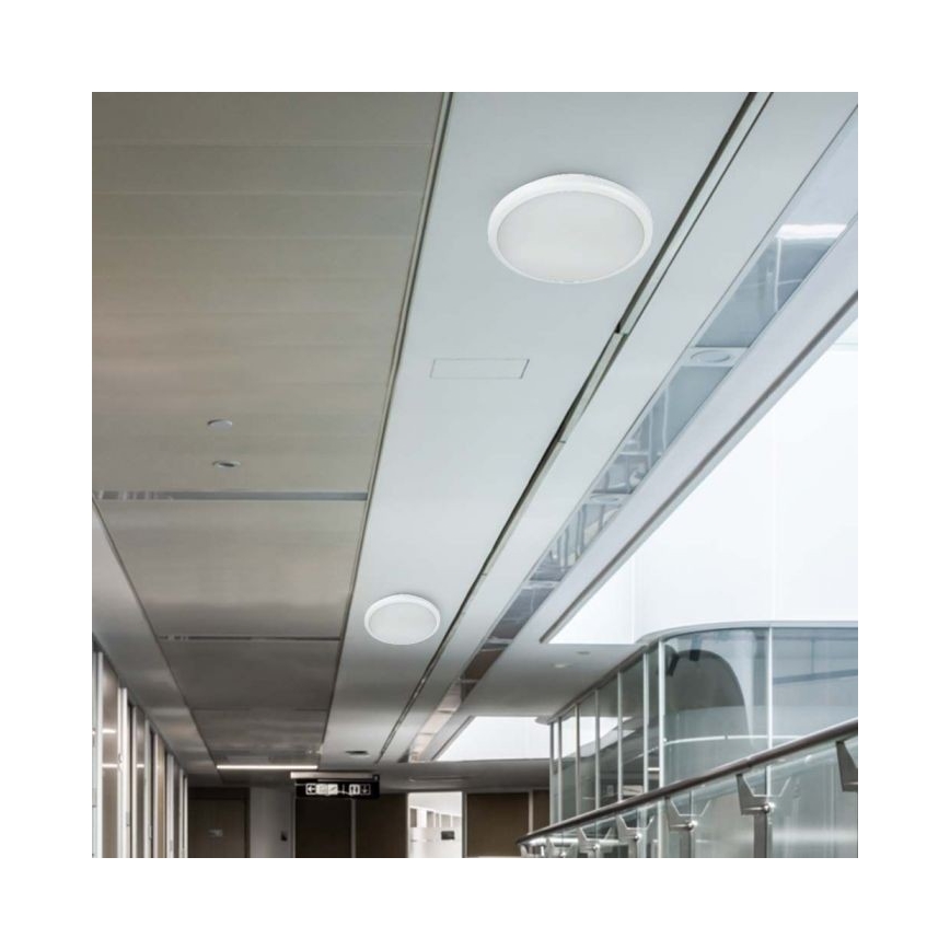 LED Oświetlenie łazienkowe z czujnikiem LED/20W/230V 3000/4000/6000K IP66 śr. 30 cm